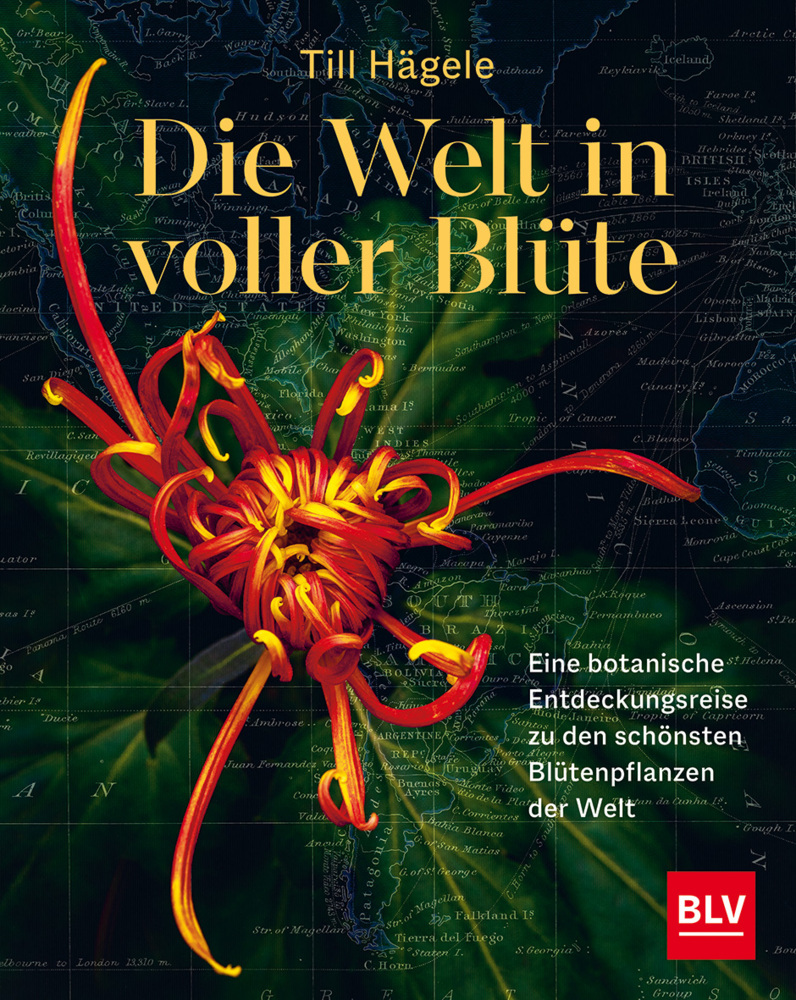 Die Welt in voller Blüte: Eine botanische Entdeckungsreise zu den schönsten Blütenpflanzen der Welt main product photo