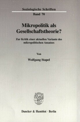 Mikropolitik als Gesellschaftstheorie?