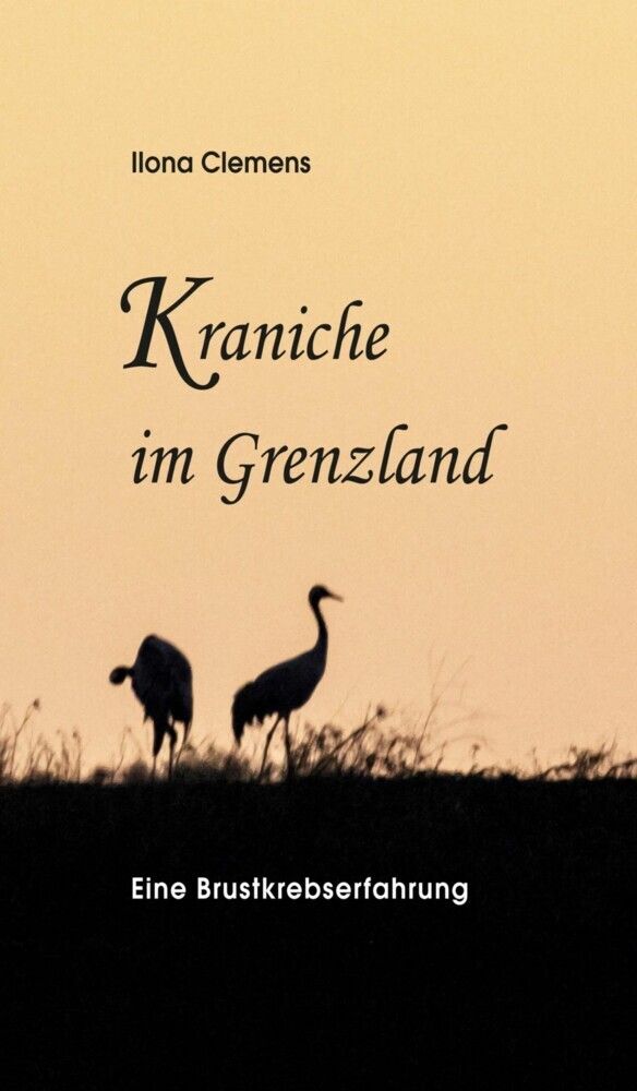 Kraniche im Grenzland main product photo