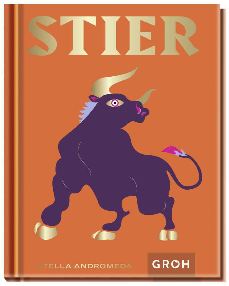 Stier main product photo