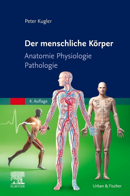 Der menschliche Körper main product photo