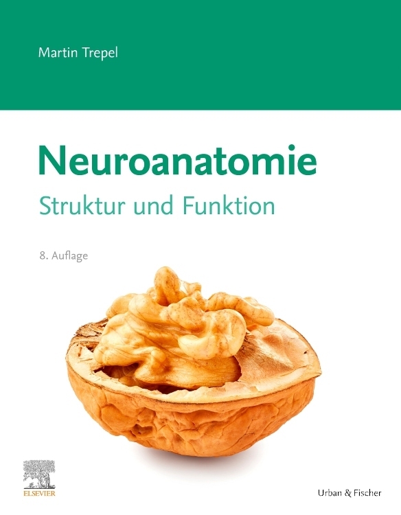 Neuroanatomie main product photo