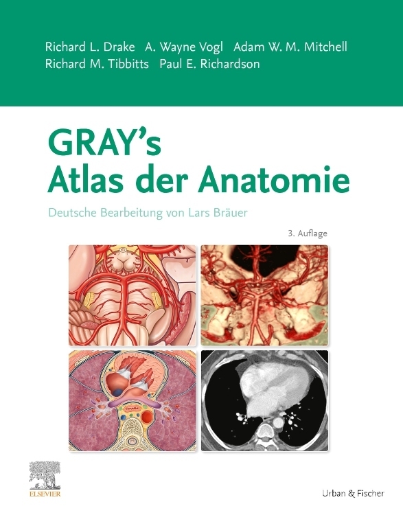 Gray's Atlas der Anatomie main product photo