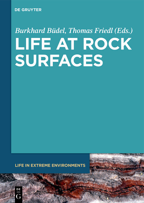 Life at Rock Surfaces main product photo