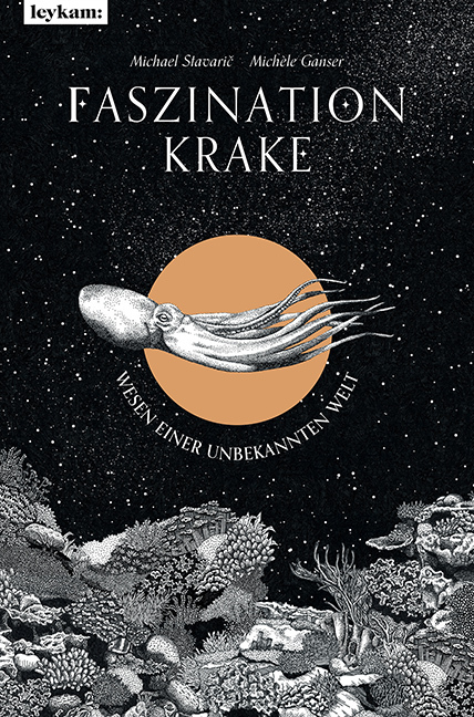 Faszination Krake main product photo
