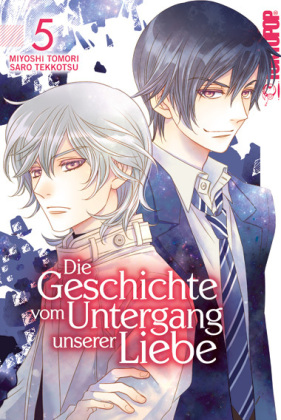 Die Geschichte vom Untergang unserer Liebe. Bd.5