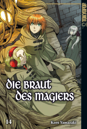 Die Braut des Magiers. Bd.14. Bd.14