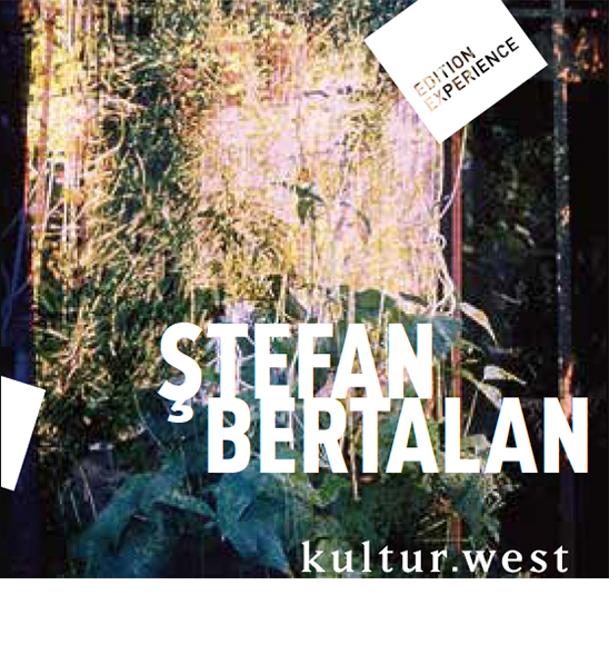 Stefan Bertalan. Visuelle Strukturen 1960-2000 main product photo