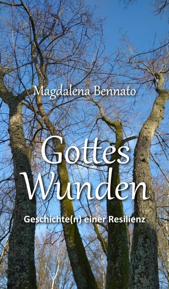Gottes Wunden main product photo