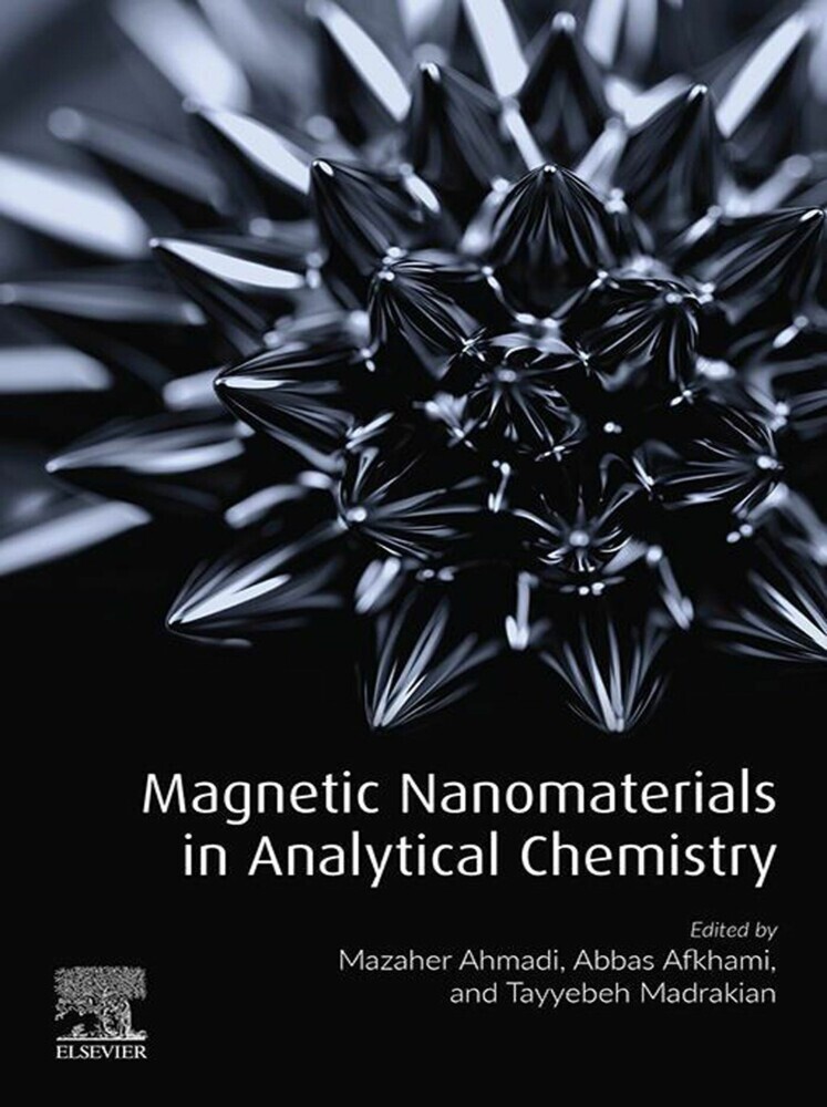 Magnetic Nanomaterials in Analytical Chemistry main product photo