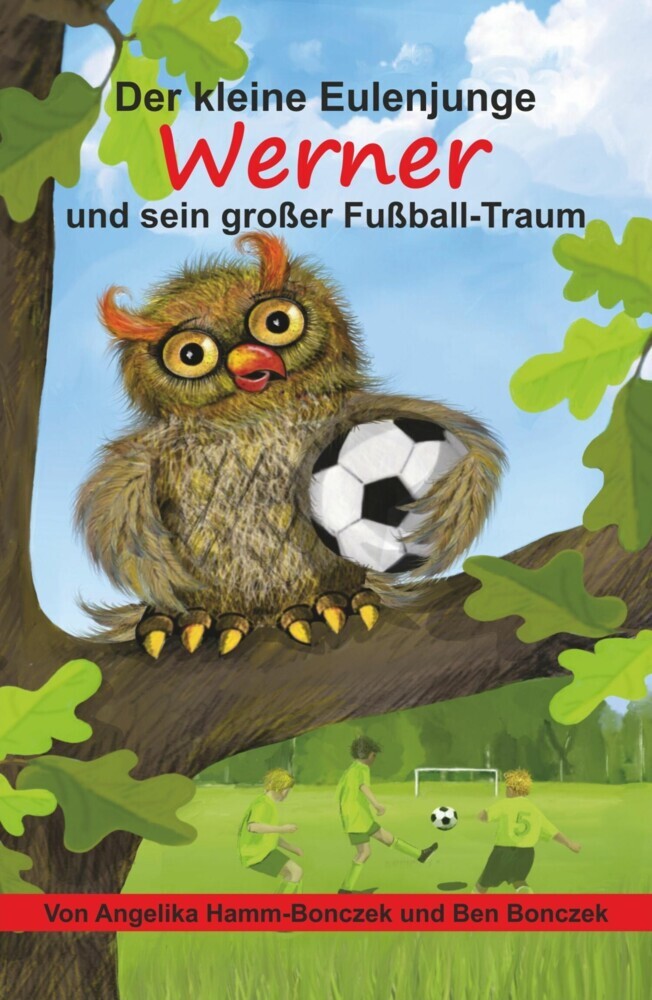 Der kleine Eulenjunge Werner und sein großer Fußball-Traum main product photo