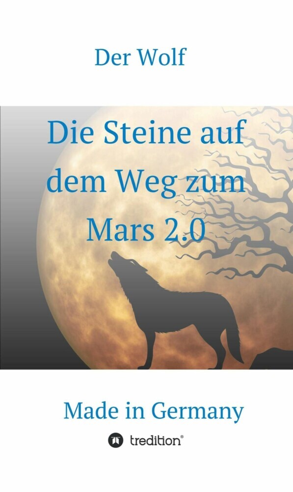 Die Steine auf dem Weg zum Mars 2.0 main product photo