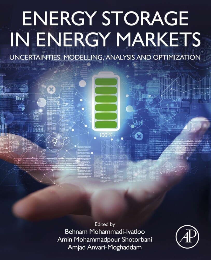 Energy Storage in Energy Markets main product photo