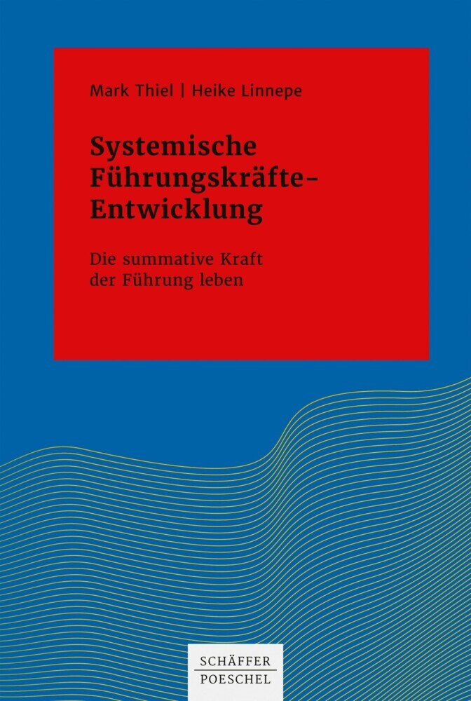 Systemische Führungskräfte-Entwicklung main product photo