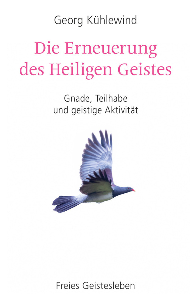 Die Erneuerung des Heiligen Geistes main product photo
