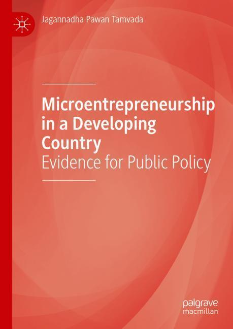 Microentrepreneurship in a Developing Country main product photo