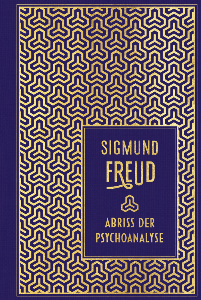 Abriss der Psychoanalyse main product photo
