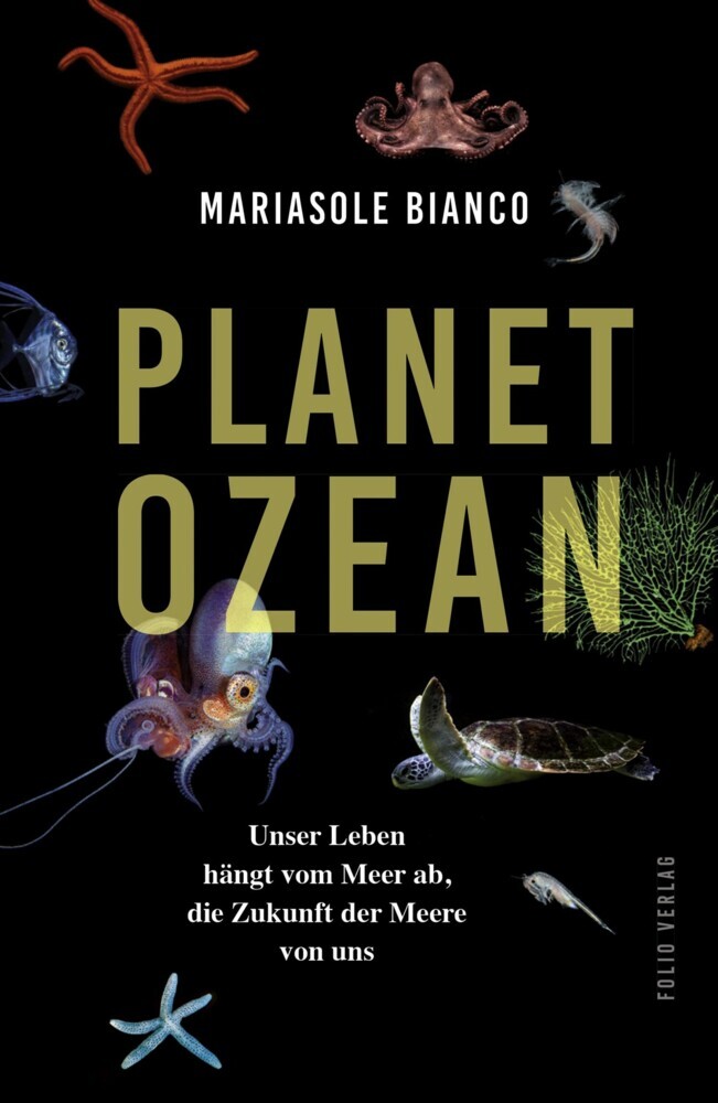 Planet Ozean main product photo