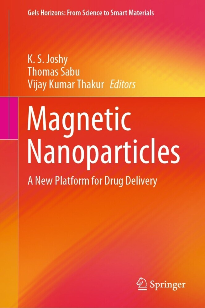 Magnetic Nanoparticles main product photo