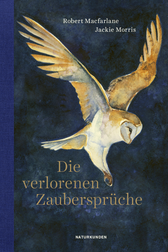 Die verlorenen Zaubersprüche main product photo