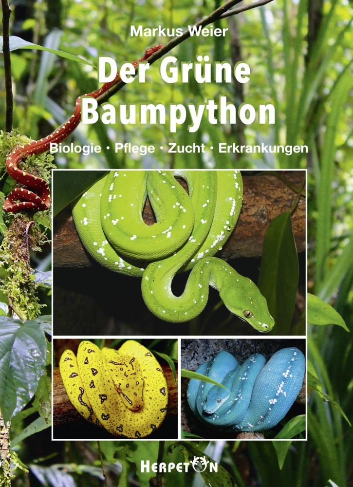 Der Grüne Baumpython main product photo
