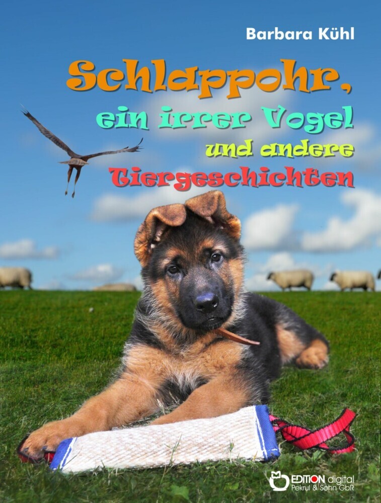 Schlappohr, ein irrer Vogel und andere Tiergeschichten main product photo