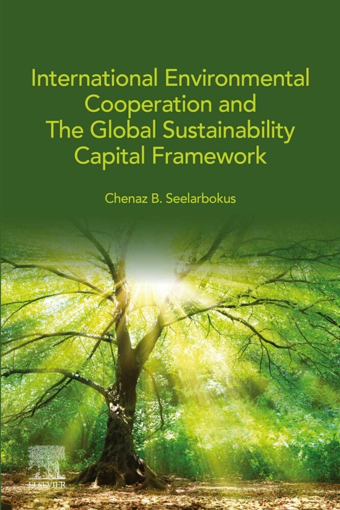 International Environmental Cooperation and The Global Sustainability Capital Framework main product photo