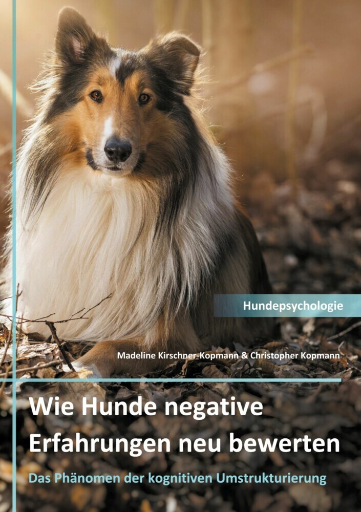 Wie Hunde negative Erfahrungen neu bewerten main product photo