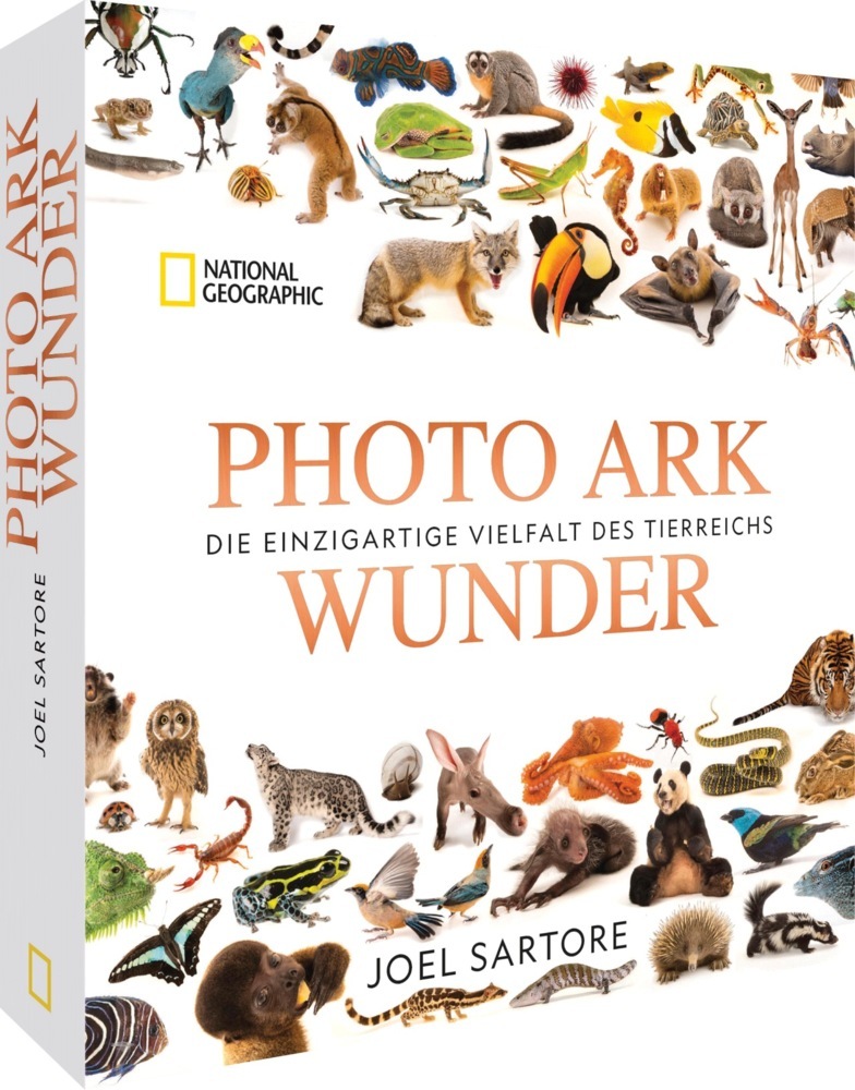 Photo Ark Wunder main product photo