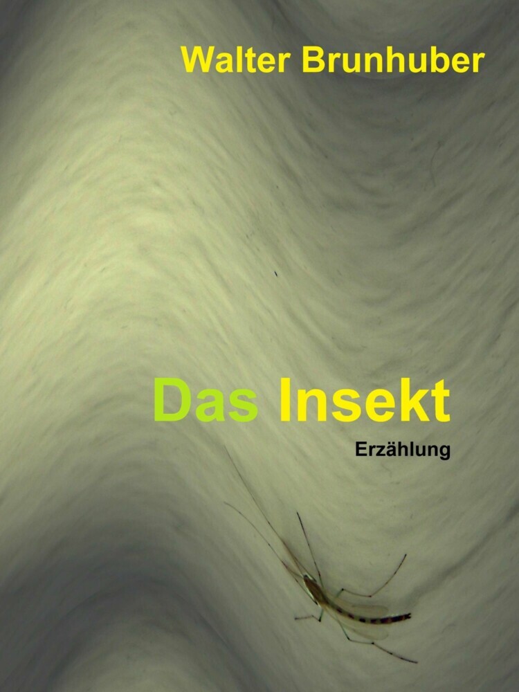 Das Insekt main product photo