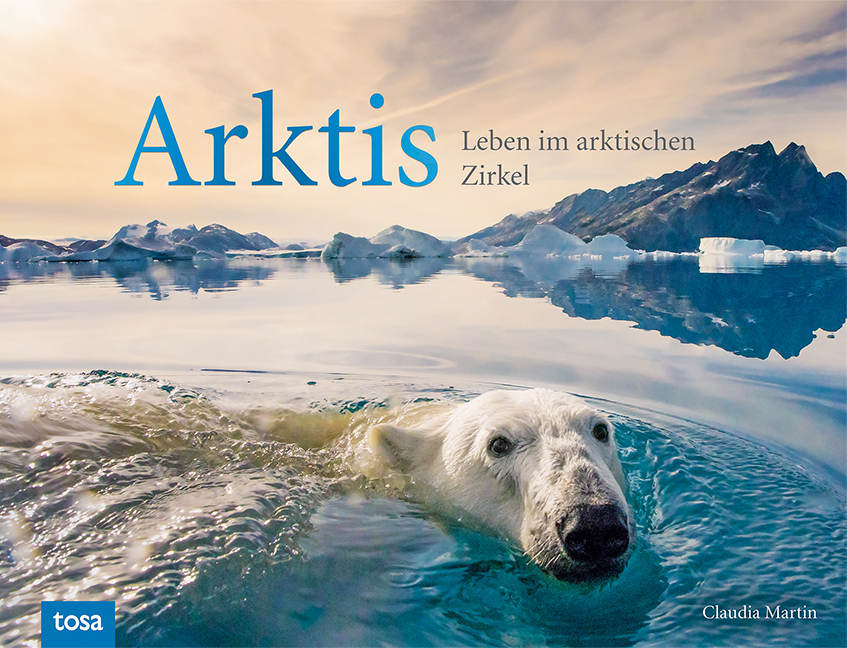Arktis main product photo