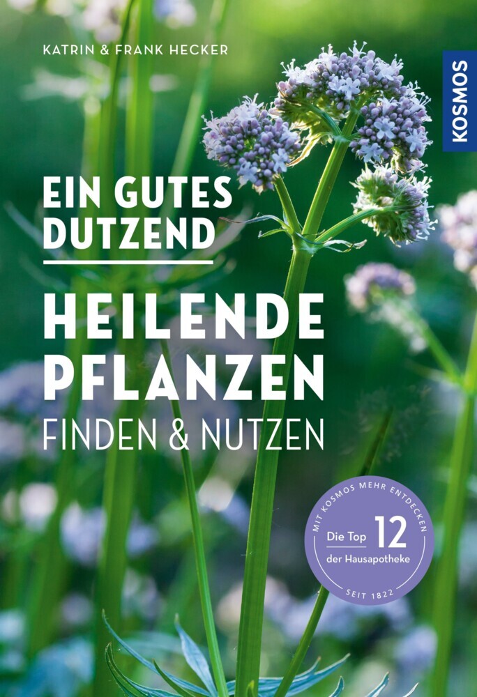 Ein gutes Dutzend heilende Pflanzen main product photo