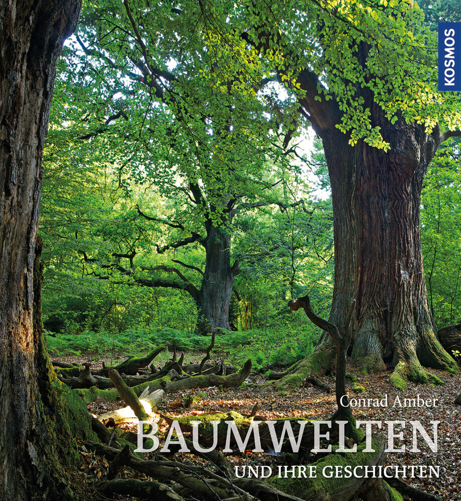 Baumwelten main product photo