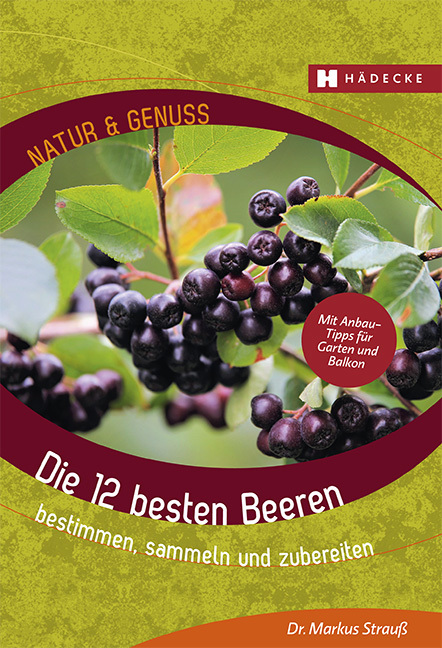 Die 12 besten Beeren main product photo