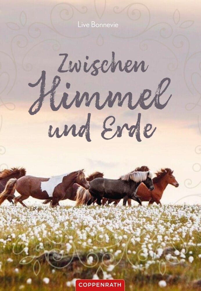 Zwischen Himmel und Erde main product photo