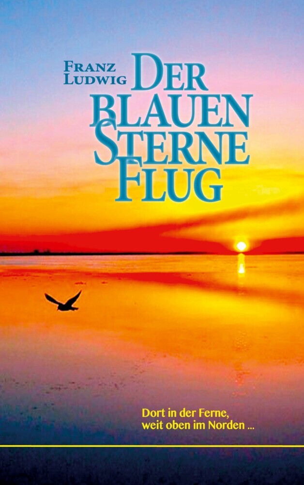 Der blauen Sterne Flug main product photo