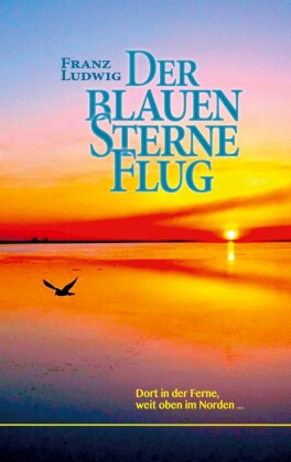 Der blauen Sterne Flug
