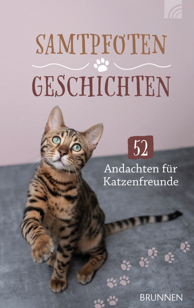 Samtpfotengeschichten main product photo