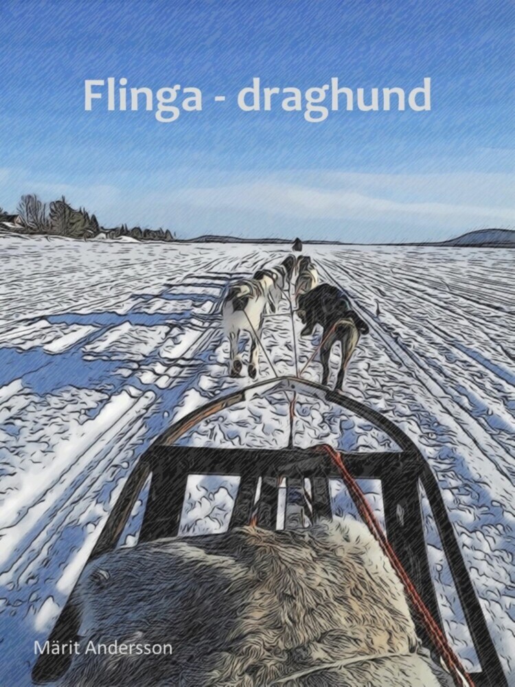 Flinga - draghund main product photo
