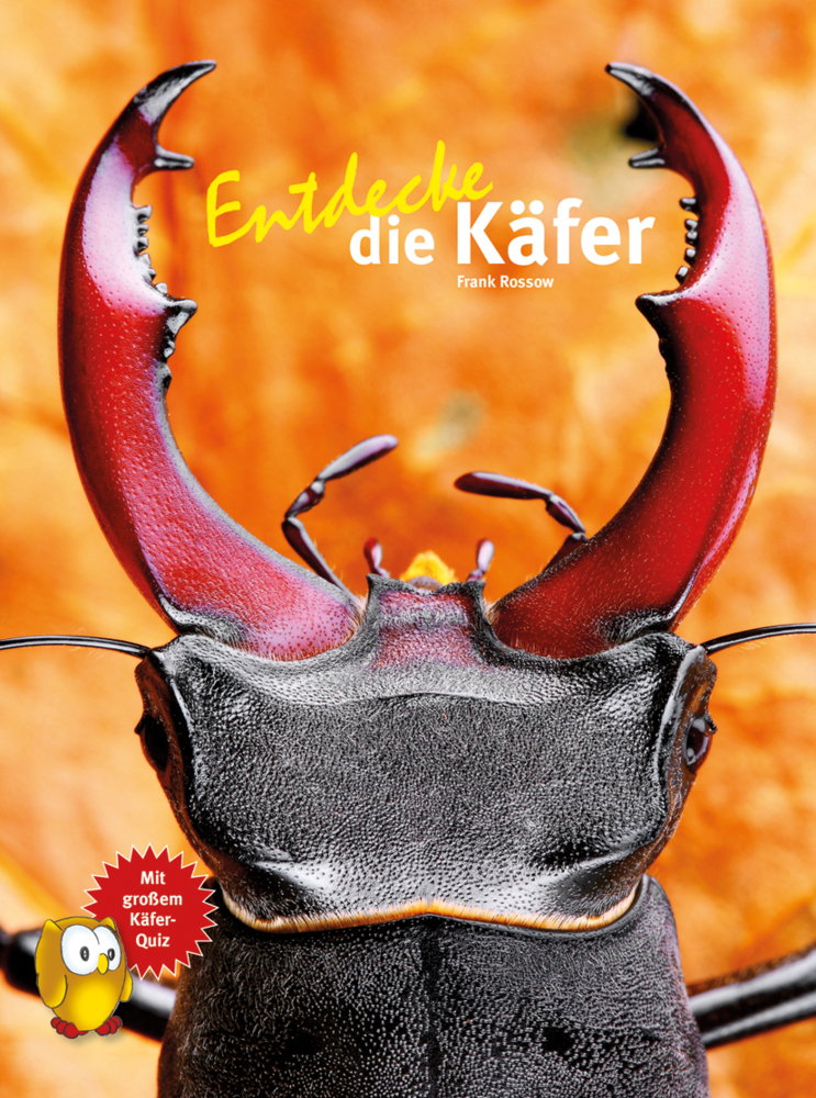 Entdecke die Käfer main product photo