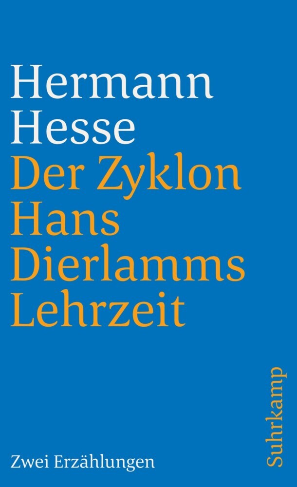 Der Zyklon und Hans Dierlamms Lehrzeit main product photo