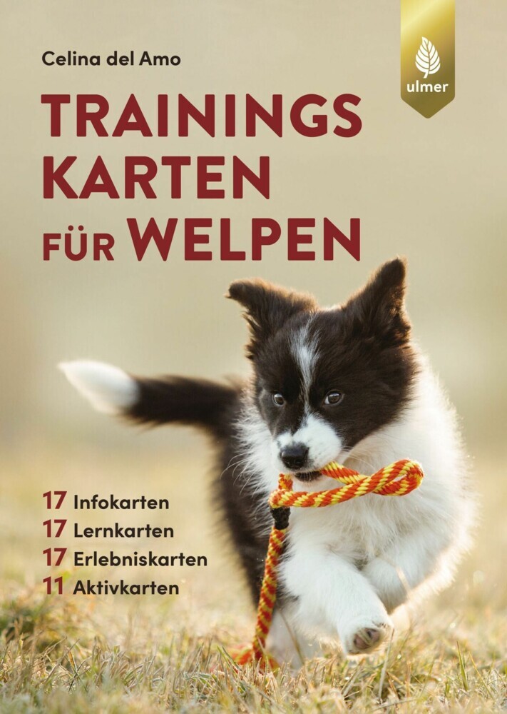 Trainingskarten für Welpen main product photo