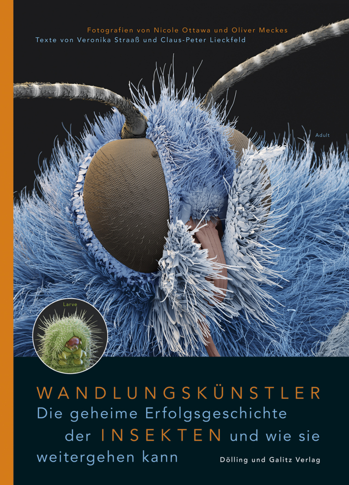 Wandlungskünstler. Die geheime Erfolgsgeschichte der Insekten und wie sie weitergehen kann main product photo