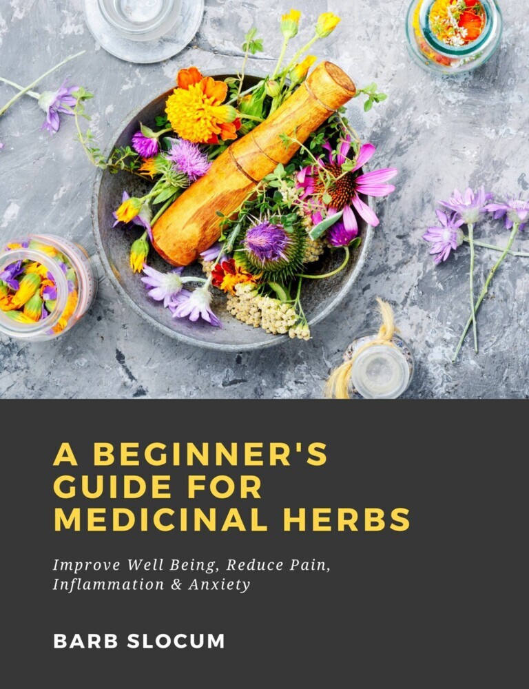 A Beginner's Guide for Medicinal Herbs: Improve Well Being, Reduce Pain, Inflammation & Anxiety main product photo