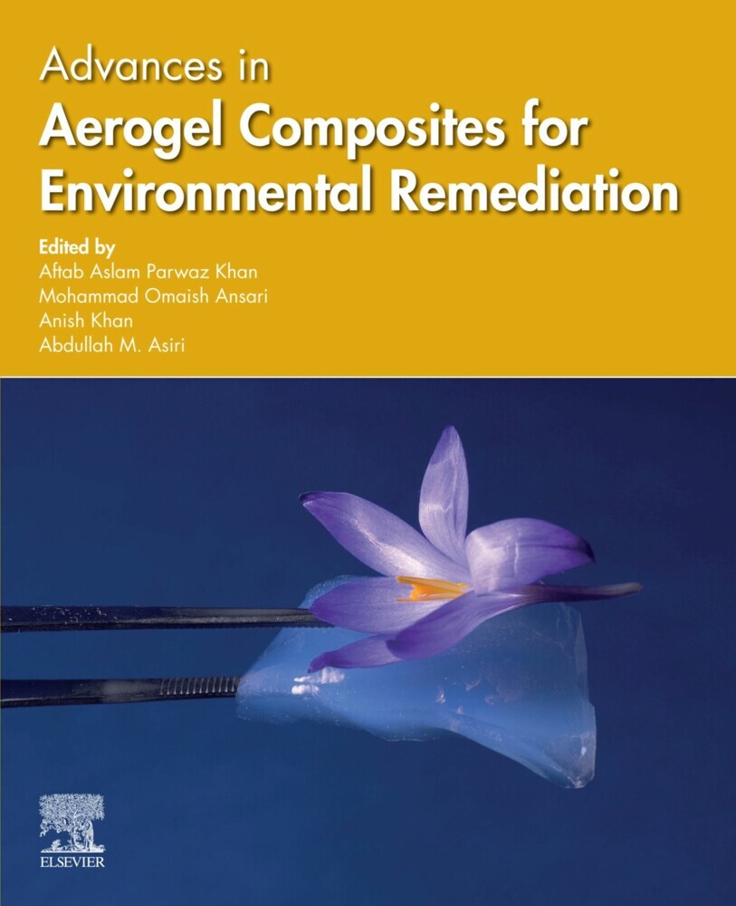 Advances in Aerogel Composites for Environmental Remediation main product photo