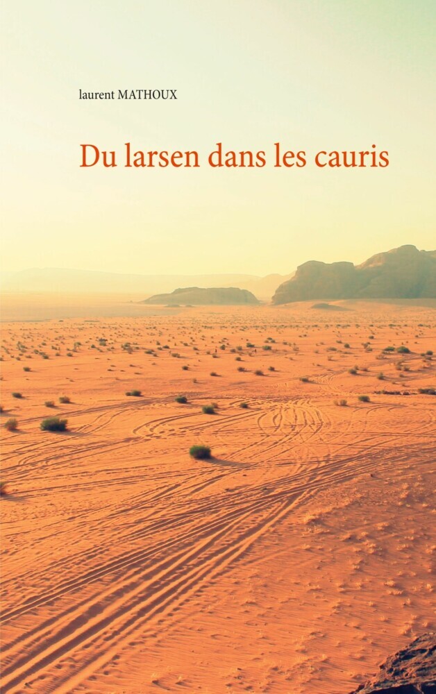 Du larsen dans les cauris main product photo