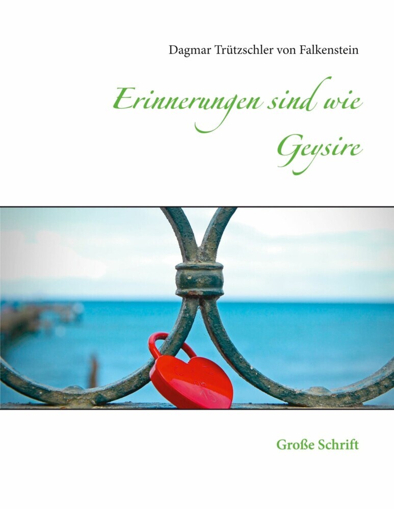 Erinnerungen sind wie Geysire main product photo