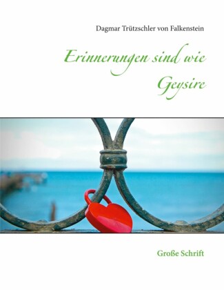 Erinnerungen sind wie Geysire