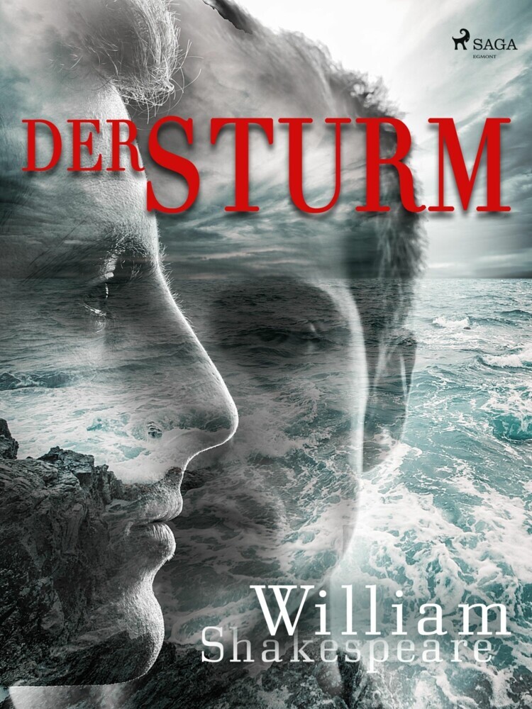 Der Sturm main product photo
