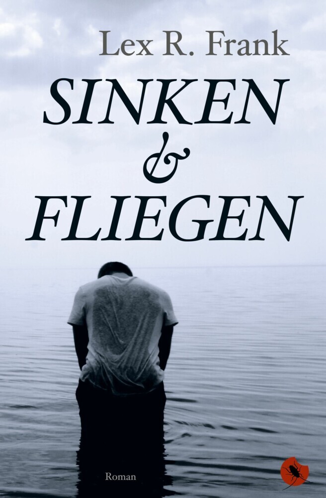 Sinken & Fliegen main product photo